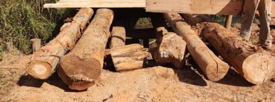 358575588_593116019659942_2342607268874901428_n