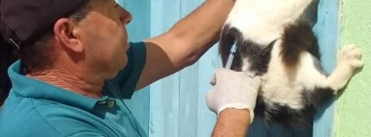 375990607_626843196287224_514244240180604663_n